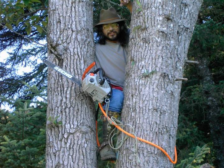 Sadi Synn, arborist removes dangerous trees.