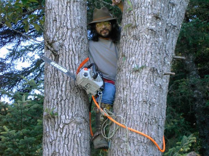 Sadi Synn, arborist removes dangerous trees.