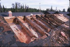 Photo, 2 x 12 rafters rotted by condensation, 9 years old, DeLong Lake area Anchorage alaska